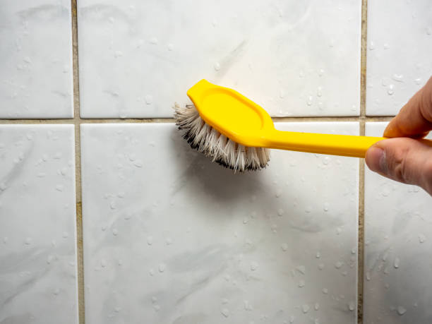Best Residential Mold Remediation in Riverview, MO
