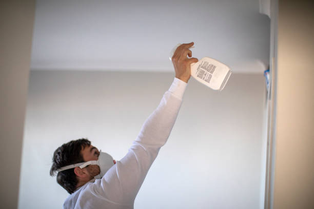 Best Attic Mold Remediation in Riverview, MO