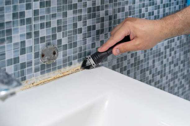 Best Localized Mold Remediation (e.g., coastal areas, humid climates) in Riverview, MO