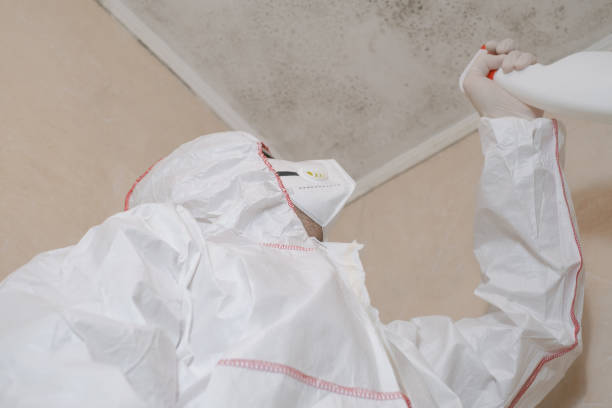 Professional Mold Remediation in Riverview, MO